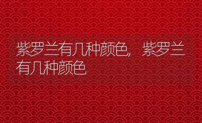 紫罗兰有几种颜色,紫罗兰有几种颜色 | 养殖学堂