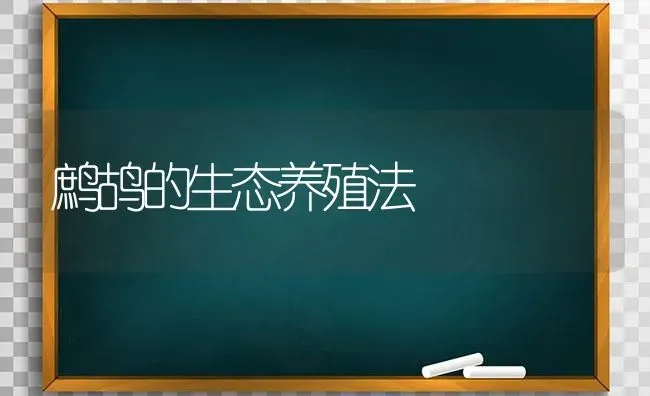 鹧鸪的生态养殖法 | 养殖知识