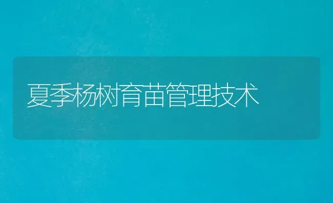 夏季杨树育苗管理技术 | 养殖技术大全