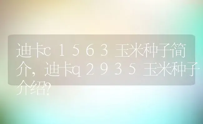 迪卡c1563玉米种子简介,迪卡q2935玉米种子介绍？ | 养殖科普