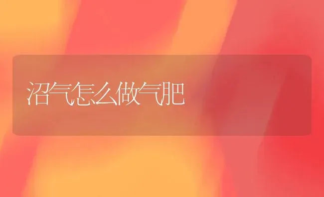沼气怎么做气肥 | 养殖技术大全