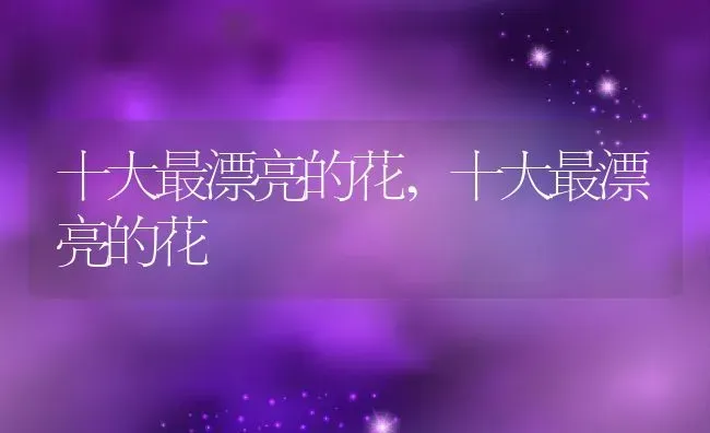 十大最漂亮的花,十大最漂亮的花 | 养殖科普