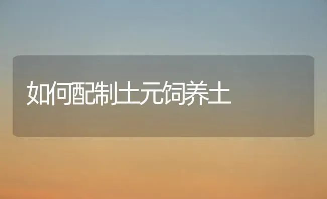 如何配制土元饲养土 | 养殖知识
