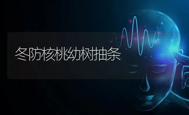 冬防核桃幼树抽条 | 养殖知识