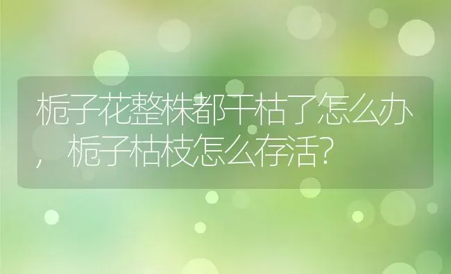 栀子花整株都干枯了怎么办,栀子枯枝怎么存活？ | 养殖学堂