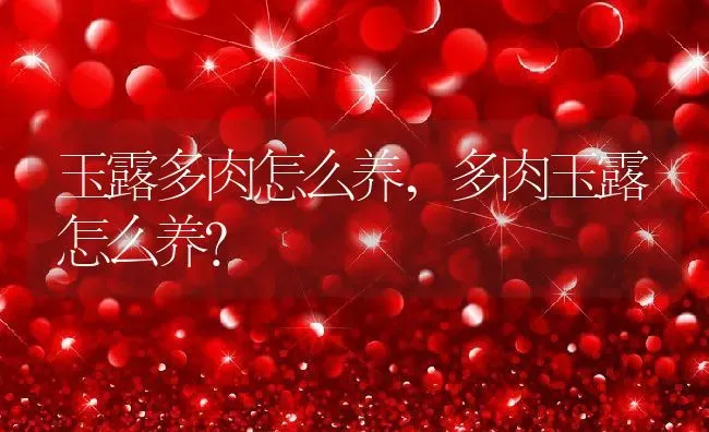 玉露多肉怎么养,多肉玉露怎么养？ | 养殖科普
