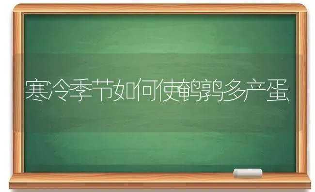 寒冷季节如何使鹌鹑多产蛋 | 养殖知识