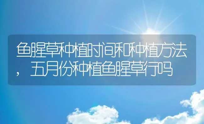 鱼腥草种植时间和种植方法,五月份种植鱼腥草行吗 | 养殖学堂