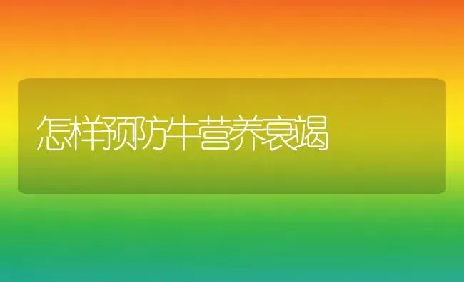 怎样预防牛营养衰竭 | 养殖技术大全