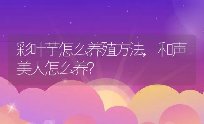 彩叶芋怎么养殖方法,和声美人怎么养？ | 养殖科普