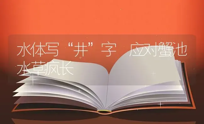 水体写“井”字 应对蟹池水草疯长 | 养殖知识