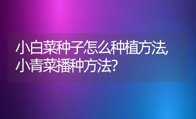 小白菜种子怎么种植方法,小青菜播种方法？ | 养殖科普