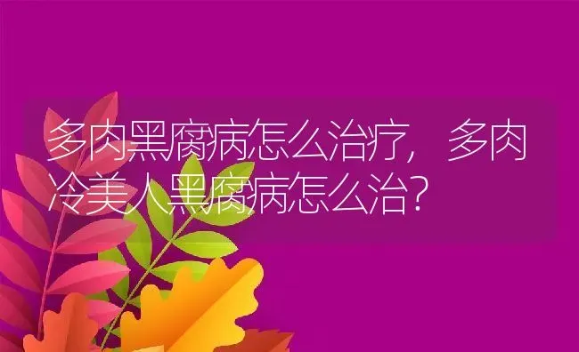 多肉黑腐病怎么治疗,多肉冷美人黑腐病怎么治？ | 养殖学堂