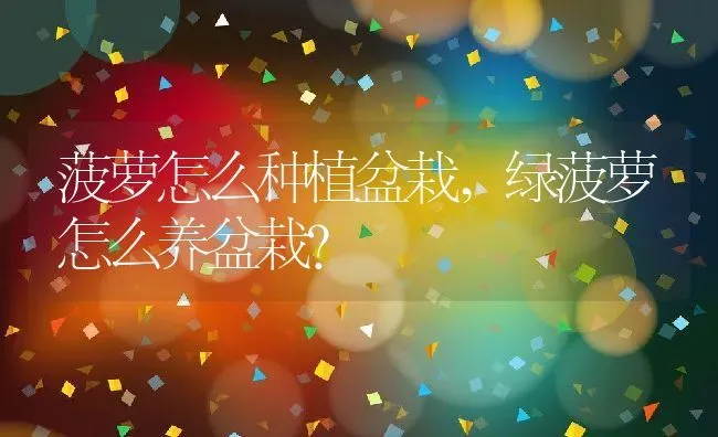 菠萝怎么种植盆栽,绿菠萝怎么养盆栽？ | 养殖科普