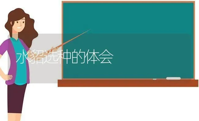水貂选种的体会 | 养殖知识