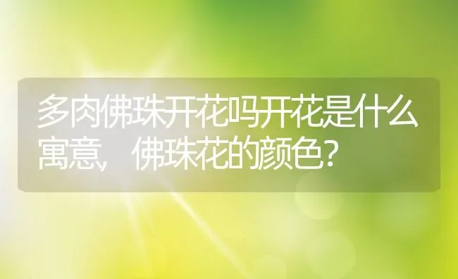 多肉佛珠开花吗开花是什么寓意,佛珠花的颜色？ | 养殖学堂
