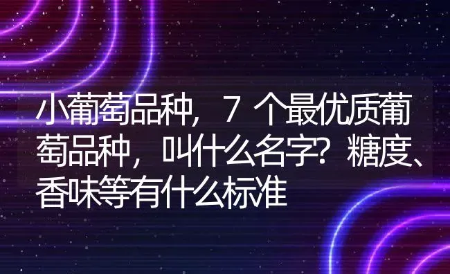 小葡萄品种,7个最优质葡萄品种，叫什么名字?糖度、香味等有什么标准 | 养殖学堂