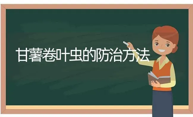 甘薯卷叶虫的防治方法 | 养殖技术大全