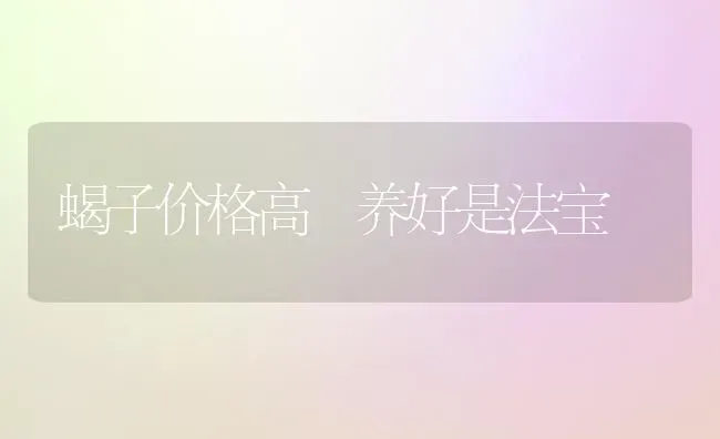 蝎子价格高 养好是法宝 | 养殖技术大全