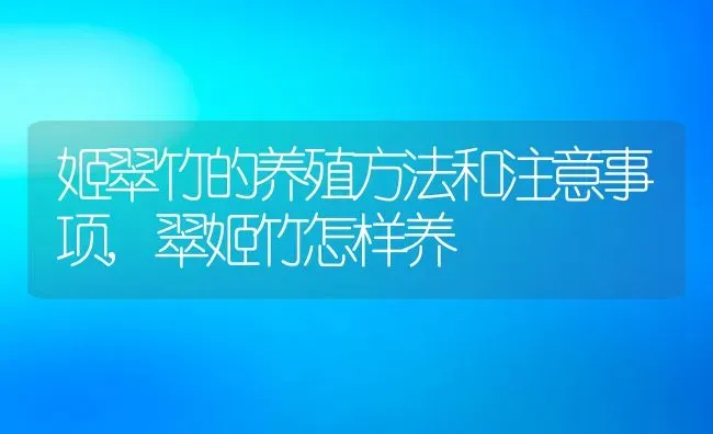 姬翠竹的养殖方法和注意事项,翠姬竹怎样养 | 养殖学堂