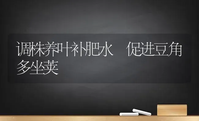 调株养叶补肥水 促进豆角多坐荚 | 养殖知识