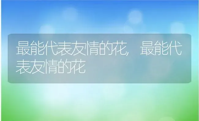 最能代表友情的花,最能代表友情的花 | 养殖科普