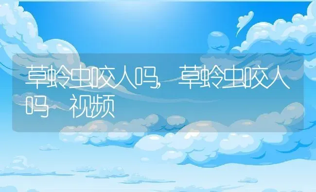 草蛉虫咬人吗,草蛉虫咬人吗 视频 | 养殖资料