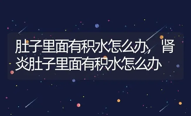 肚子里面有积水怎么办,肾炎肚子里面有积水怎么办 | 养殖资料