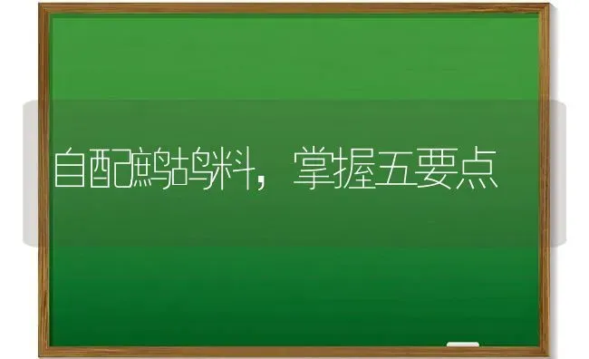 自配鹧鸪料,掌握五要点 | 养殖技术大全