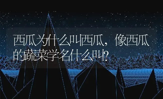 西瓜为什么叫西瓜,像西瓜的蔬菜学名什么叫？ | 养殖科普