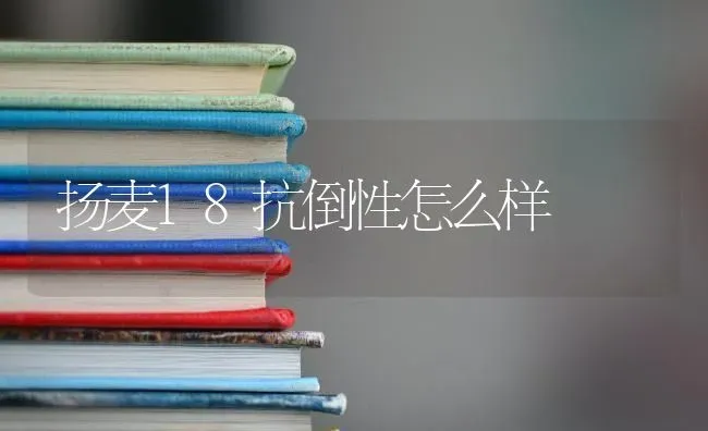 扬麦18抗倒性怎么样 | 养殖知识