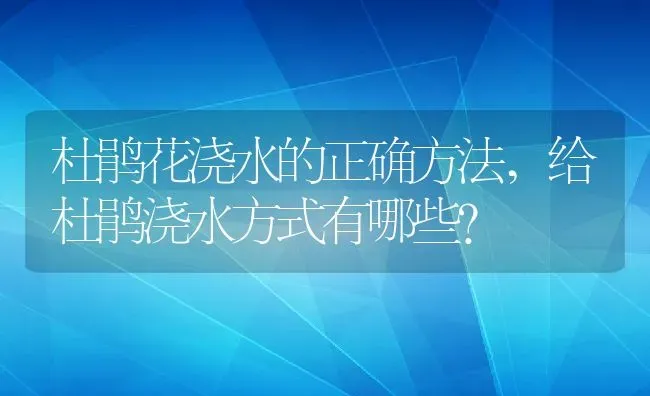 杜鹃花浇水的正确方法,给杜鹃浇水方式有哪些？ | 养殖学堂