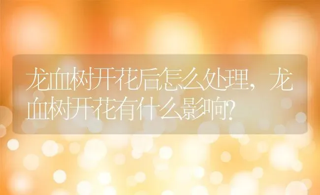 龙血树开花后怎么处理,龙血树开花有什么影响？ | 养殖学堂