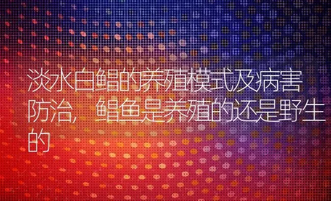 淡水白鲳的养殖模式及病害防治,鲳鱼是养殖的还是野生的 | 养殖学堂