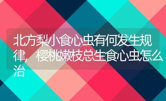 北方梨小食心虫有何发生规律,樱桃嫩枝总生食心虫怎么治 | 养殖学堂