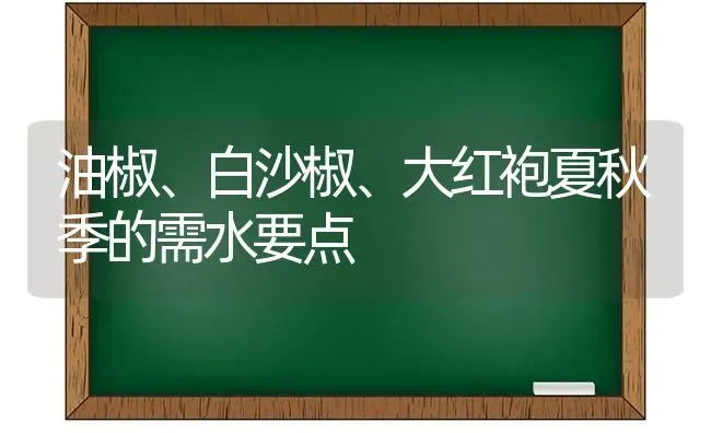 油椒、白沙椒、大红袍夏秋季的需水要点 | 养殖技术大全