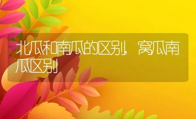 北瓜和南瓜的区别,窝瓜南瓜区别 | 养殖学堂