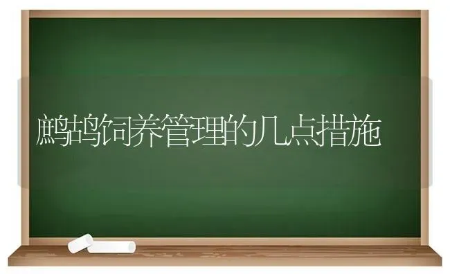 鹧鸪饲养管理的几点措施 | 养殖知识