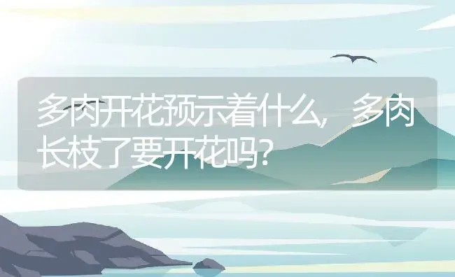 多肉开花预示着什么,多肉长枝了要开花吗？ | 养殖科普
