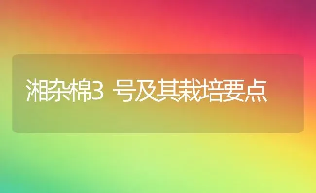 湘杂棉3号及其栽培要点 | 养殖技术大全