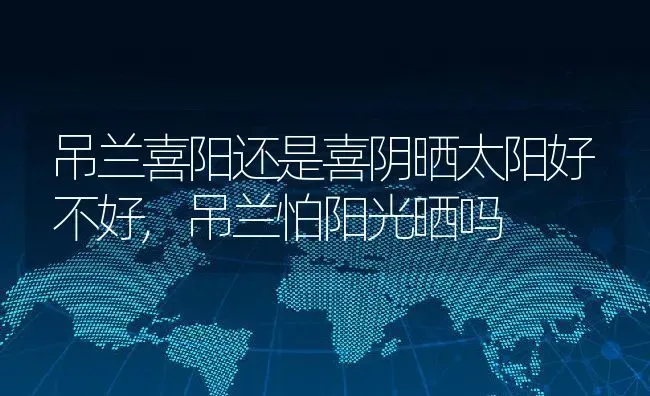 吊兰喜阳还是喜阴晒太阳好不好,吊兰怕阳光晒吗 | 养殖学堂