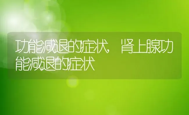 功能减退的症状,肾上腺功能减退的症状 | 养殖科普