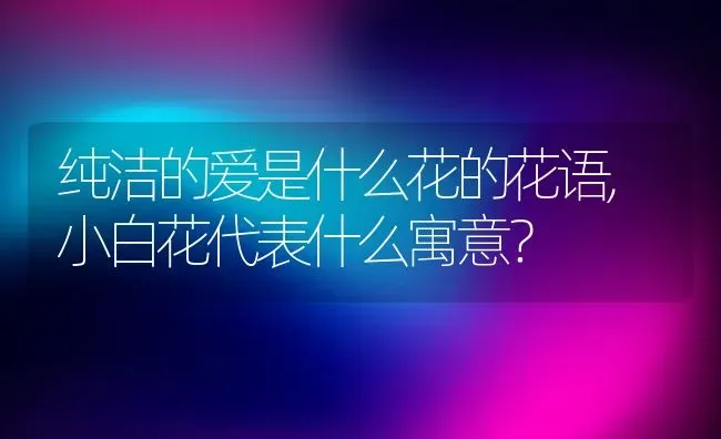 纯洁的爱是什么花的花语,小白花代表什么寓意？ | 养殖科普