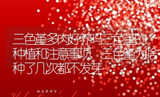 三色堇多肉好养吗三色堇的种植和注意事项,三色堇为啥种了几次都不发芽 | 养殖学堂