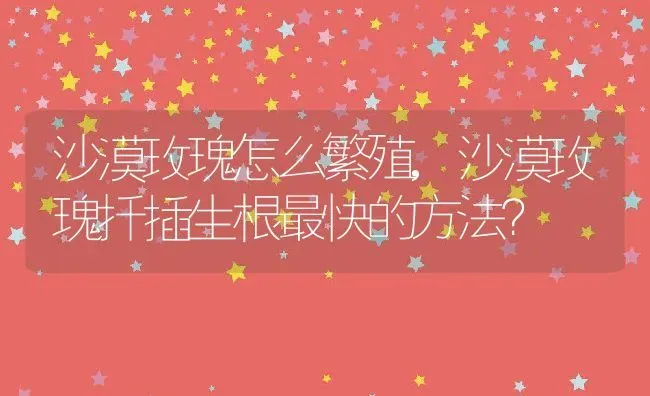 白山羊养殖技术和注意事项,本地山羊养殖方法 | 养殖学堂
