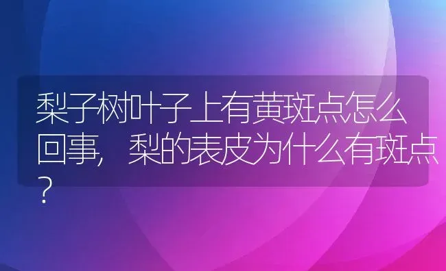 梨子树叶子上有黄斑点怎么回事,梨的表皮为什么有斑点？ | 养殖科普