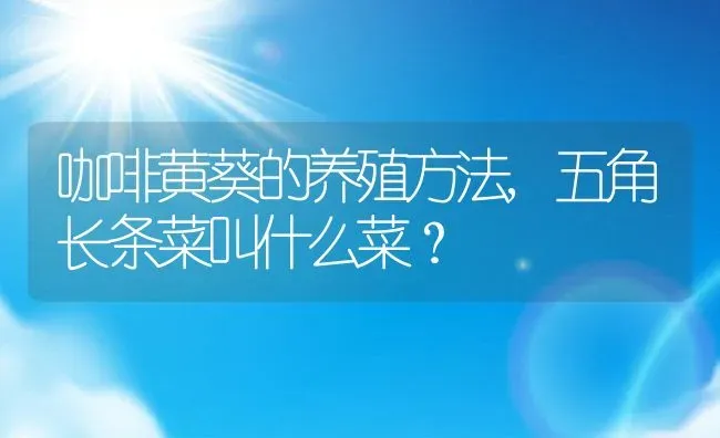 咖啡黄葵的养殖方法,五角长条菜叫什么菜？ | 养殖科普