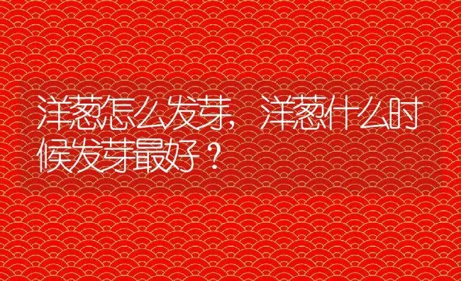 洋葱怎么发芽,洋葱什么时候发芽最好？ | 养殖学堂