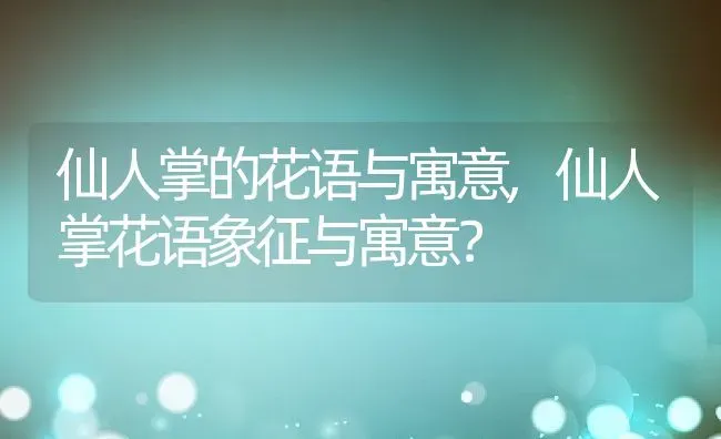 仙人掌的花语与寓意,仙人掌花语象征与寓意？ | 养殖科普