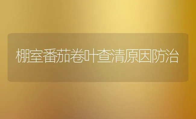 棚室番茄卷叶查清原因防治 | 养殖知识